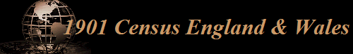 1901 Census England & Wales