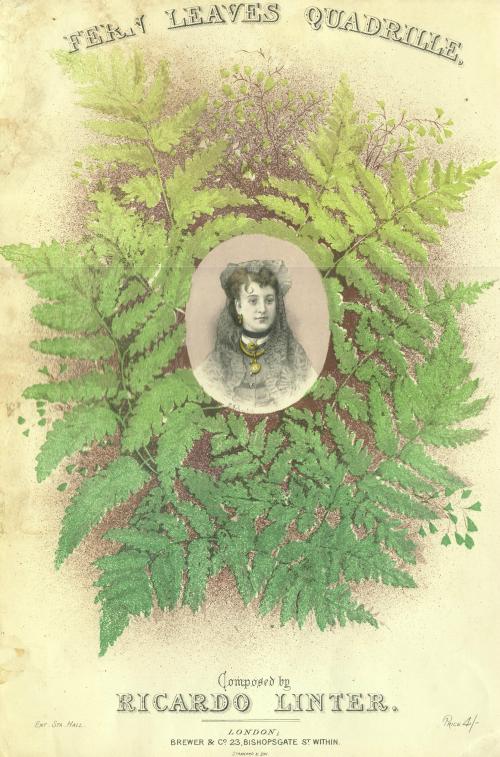 Fern Leaves Quadrille by Ricardo Linter